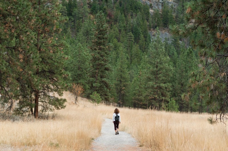 Hiking Mountains
